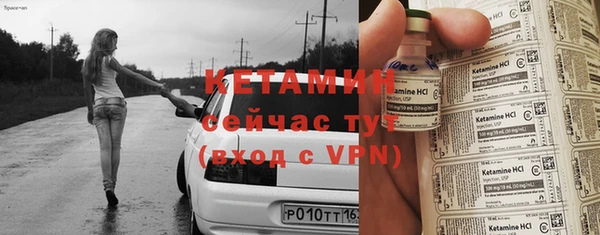 прущие грибы Тутаев